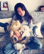 全世界最貴的貓都在這了！大多數人一輩子都沒