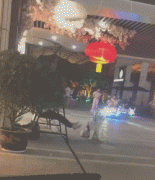 假如狗子能上網打字發圈，它會說... ?