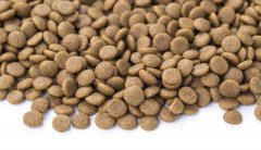 狗糧貓糧怎么儲存，華興寵物食品提示您