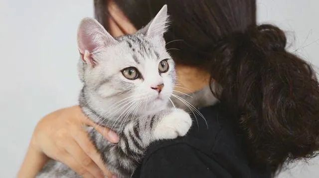 元旦丨新的一年，寵愛有加